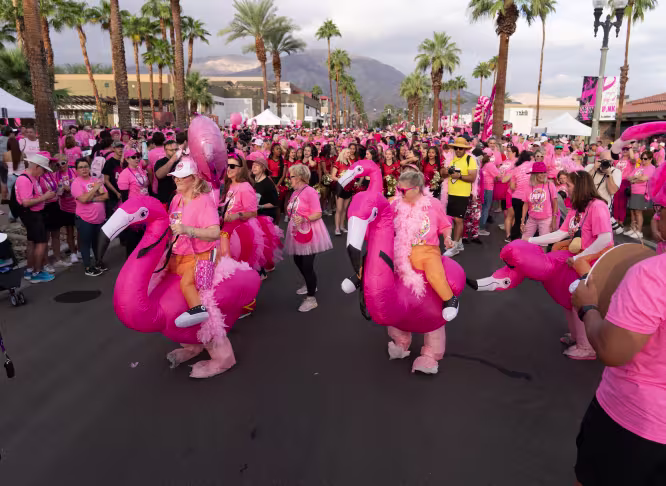 Paint El Paseo Pink